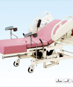 Electric Multifunctional Delivery 
Bed