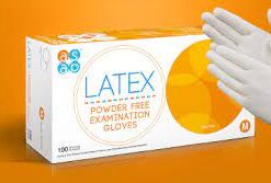Latex Powder-Free Examination Gloves