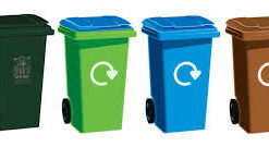 3 compartment bin