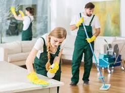 basement cleaning services near me