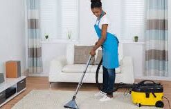 domestic helper