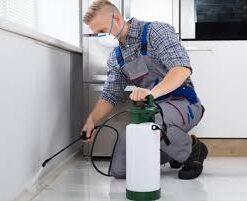 homemade weed killer