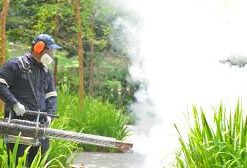 pest control services