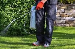glyphosate herbicide