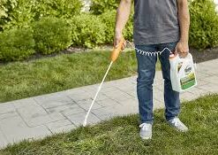 rodent control near me