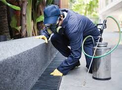 pest control company
