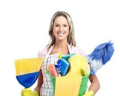carpet clean near me