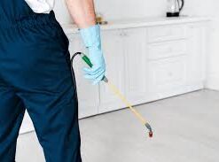 exterminator near me