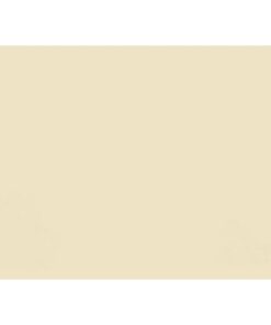 Lateral Document Files - Foolscap - Medium Weight - 190gsm - Pack of 200 - FILLMW200