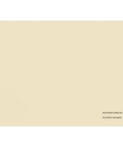 Lateral Document Files - Foolscap - Heavy Weight - 233gsm - A4 - Pack of 200 - FILLHW200