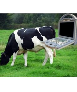 Alternative view of container sharps