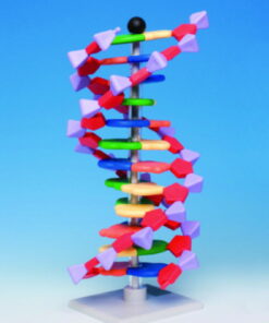 miniDNA molecular modell kit advanced, 12 layers