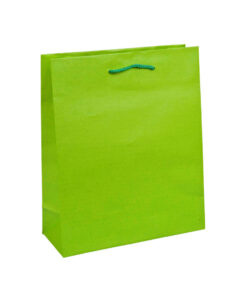 Lime Green A4 paper carrier bag with cord handles