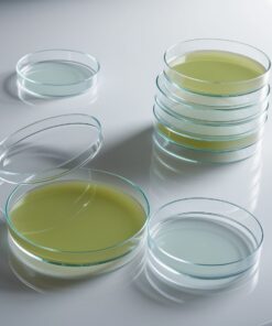 parafilm tape for petri dishes