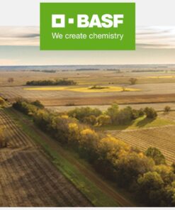 Insecticide Acrobat MZ