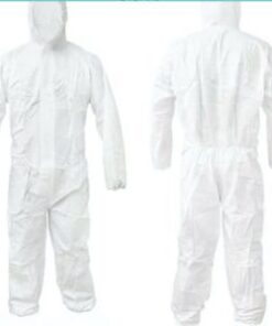 Alternative view of lab fur