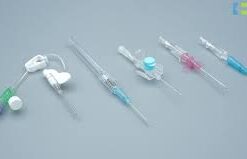 22g cannula