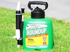 Efekto ready to use roundup weedkiller 1l 33522