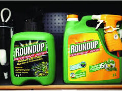 best round up weed killer