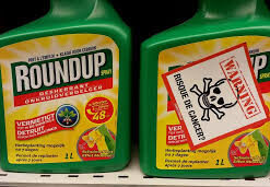 roundup not killing weeds