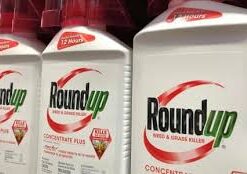 roundup weed preventer