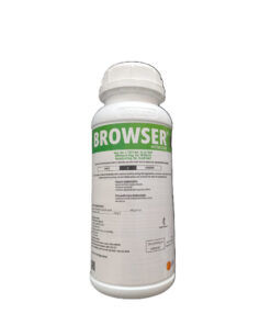 packaging printing