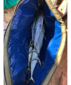 Mobile Boat Fish Cooler