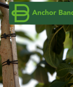 Bandex Anchor Band 160X5Mm - 1Kg