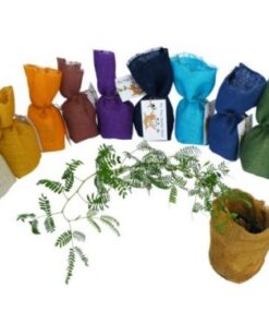 My Tree Starter Packs (Bag) Medium: 150*150*200mm – Min Order: 2