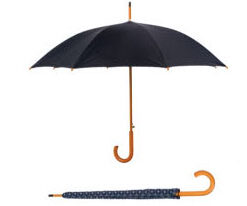 Clear Umbrella With Black Trim