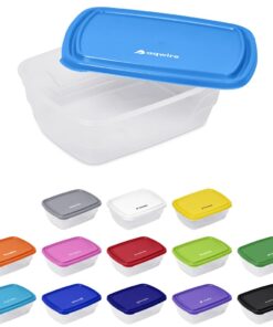 Transparent BPA Free & Food Safe Plastic Lunch Box With Coloured Lid
