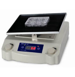 Electric Double Fryer