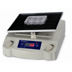 Electric Double Fryer